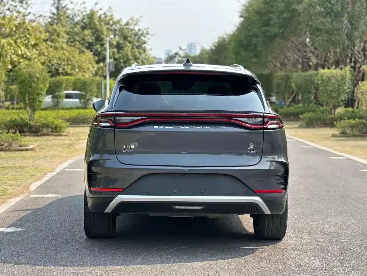 BYD Tang New Energy 2022 DM-p 215KM AWD Flagship usado