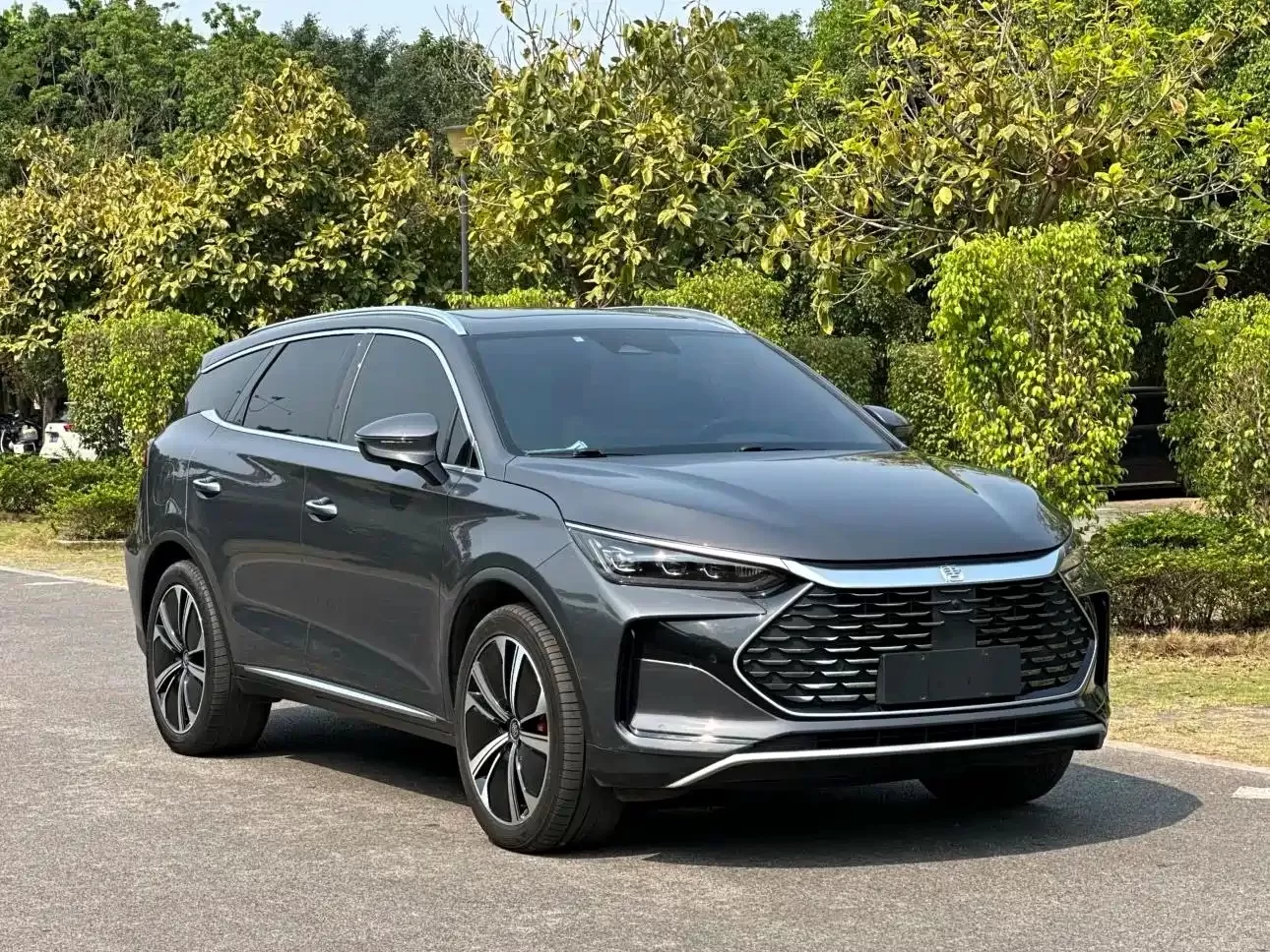 BYD Tang New Energy 2022 DM-p 215KM AWD Flagship usado