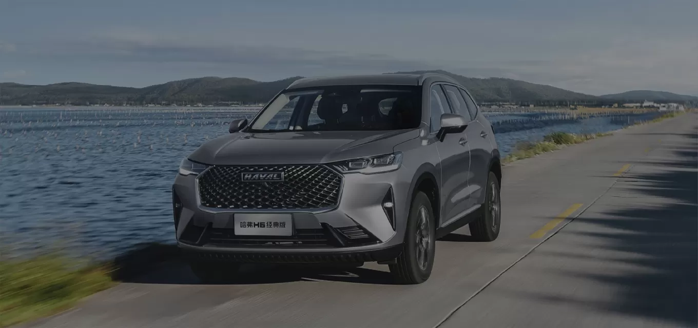 ¿Por qué elegir nuestro coche usado Haval?